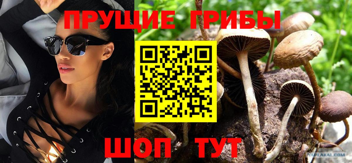 Родники  купить закладку  Вход с VPN  Псилоцибиновые грибы прущие грибы 